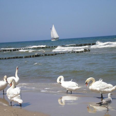 Pensjonat Koga Kolobrzeg Bagian luar foto